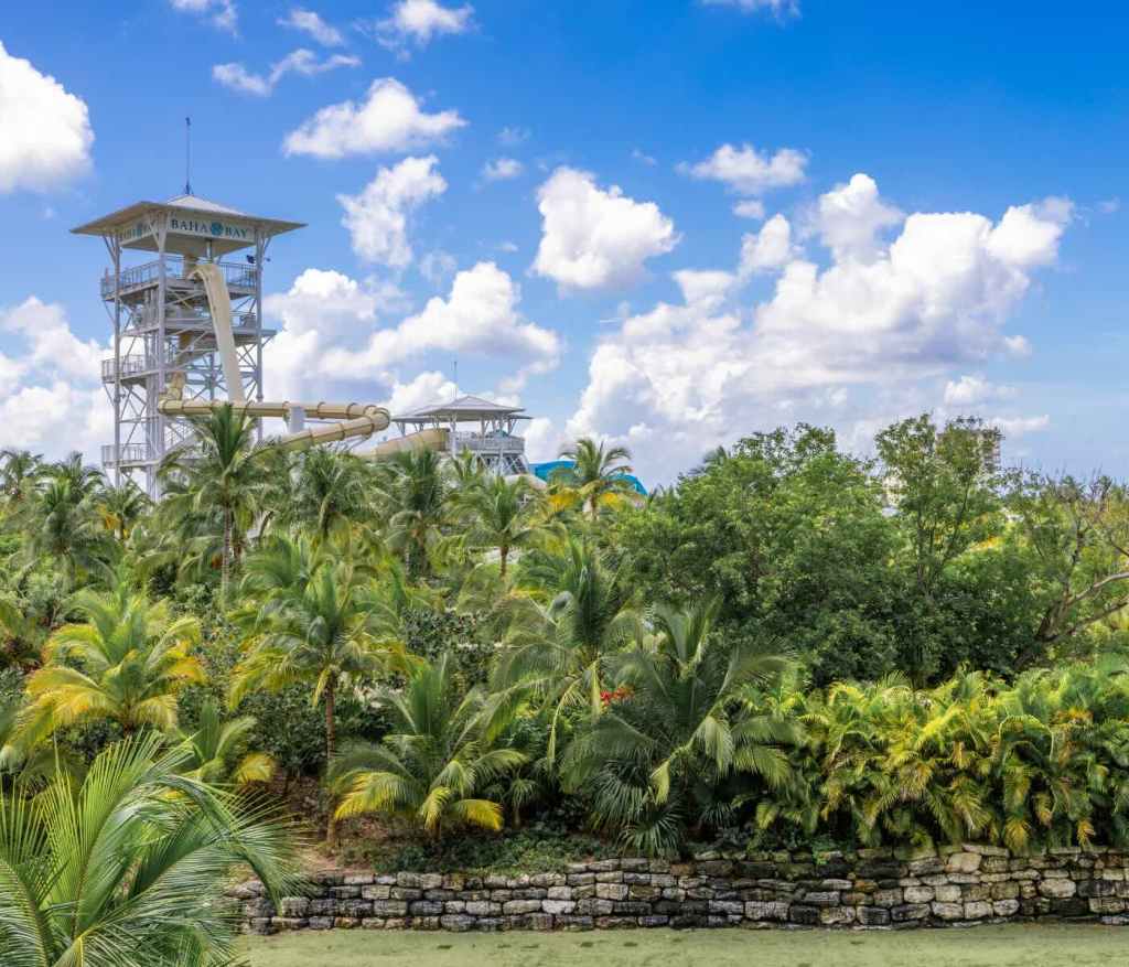 a jungle view with baha bay waterpark in the far distance