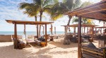 une magnifique plage avec des palmiers et des cabanons