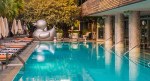 A duck swimming in the SLS South Beach hotel pool.