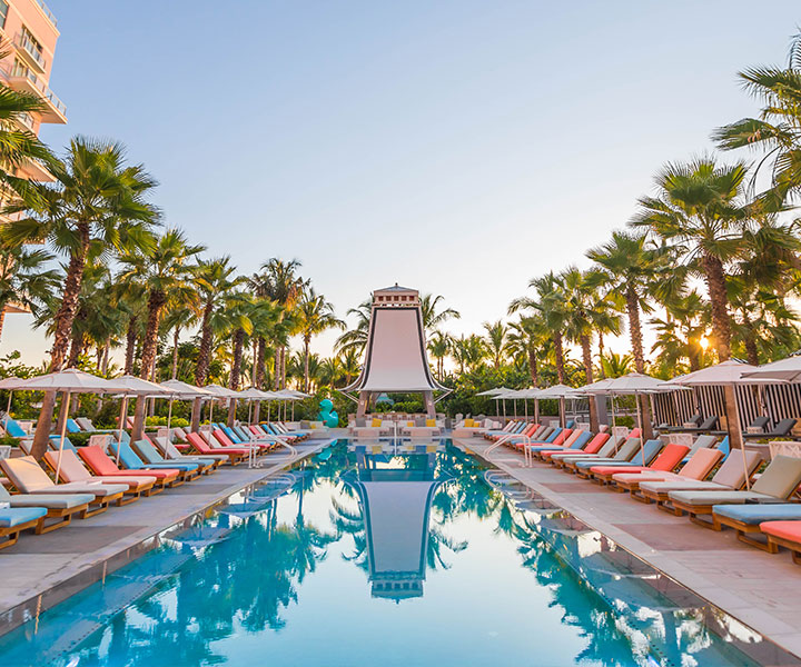 Glamorous outdoor pool adorned with sun loungers either side and backdrop of palm trees