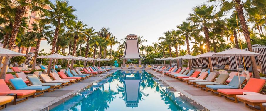 Glamorous outdoor pool adorned with sun loungers either side and backdrop of palm trees