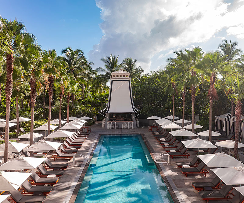 Glamorous outdoor pool adorned with sun loungers either side and backdrop of palm trees